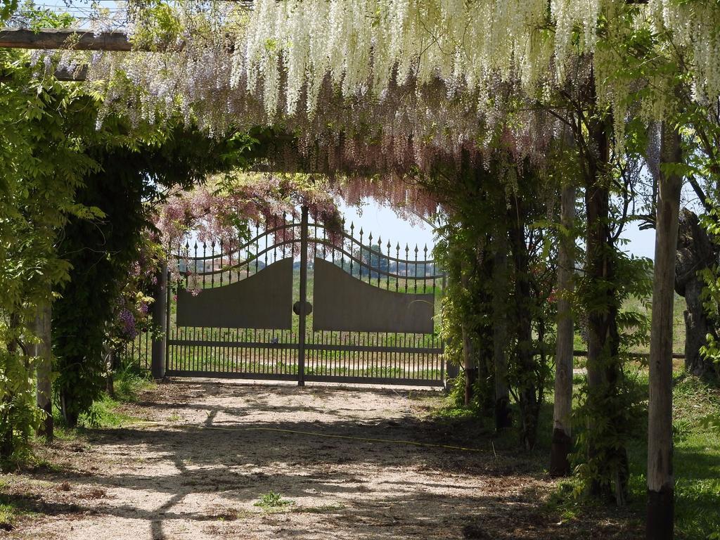 Tenuta Le Pantanelle Villa Sezze Exteriör bild