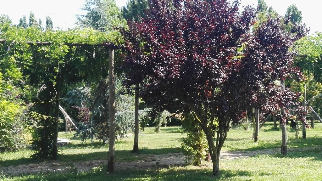 Tenuta Le Pantanelle Villa Sezze Exteriör bild