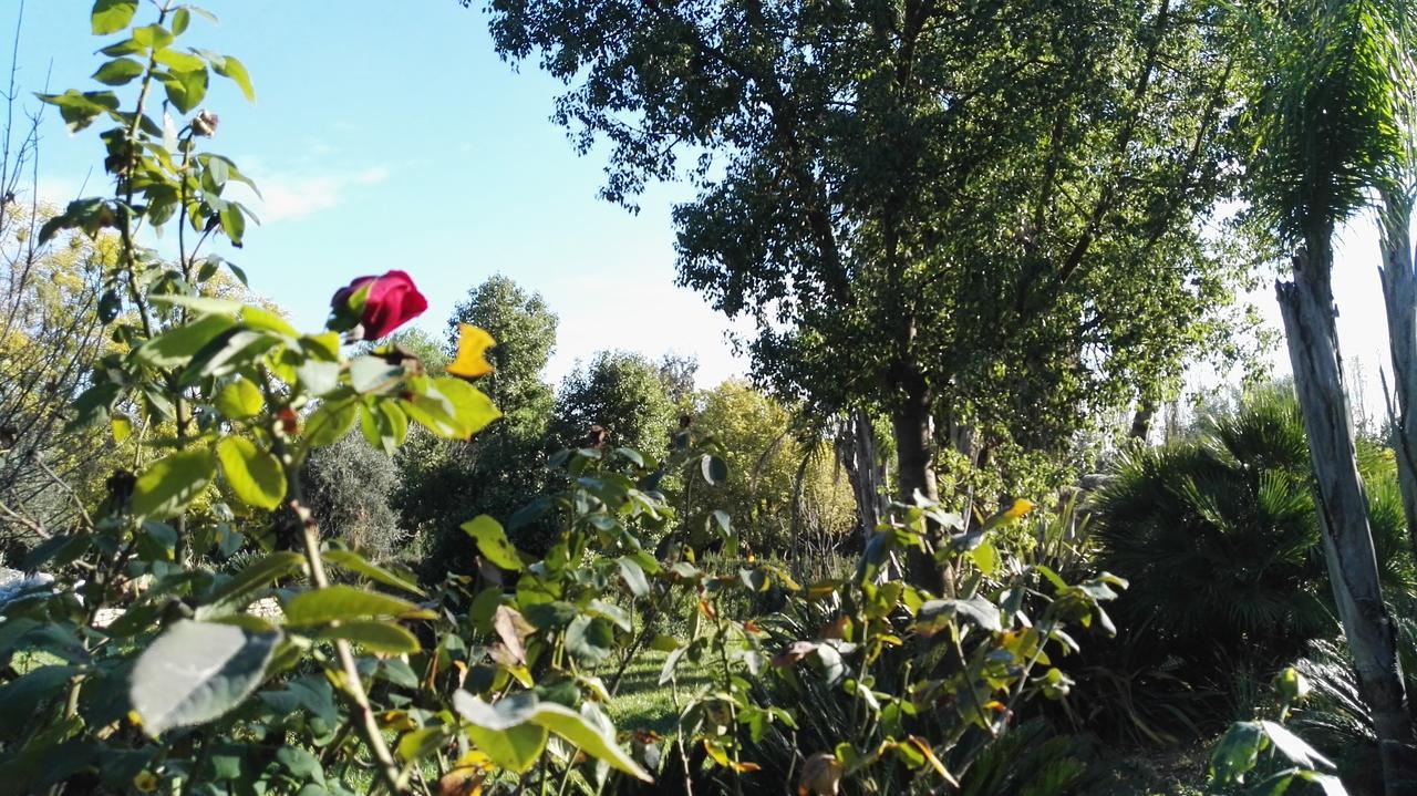 Tenuta Le Pantanelle Villa Sezze Exteriör bild